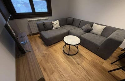 Vermietung einer gemütlichen 2-Zimmer-Wohnung, 50 m², Vračar, Belgrad, Serbien